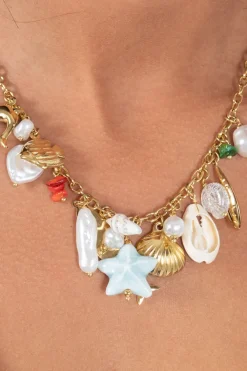 Collar Charms Mar
