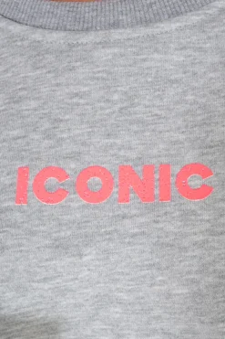 Sudadera Iconic